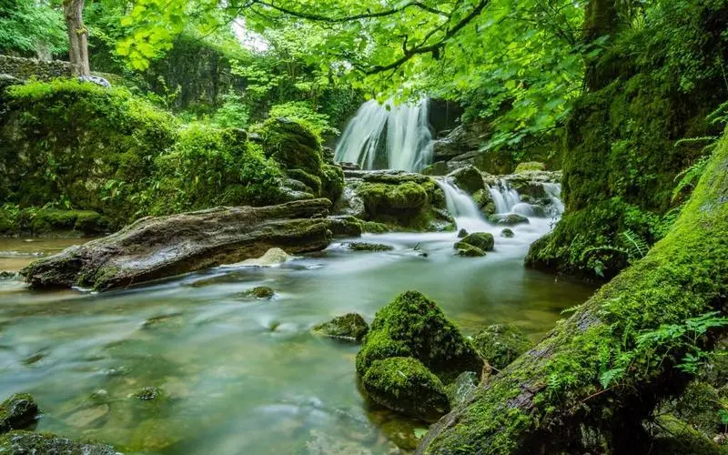 环保高端智慧